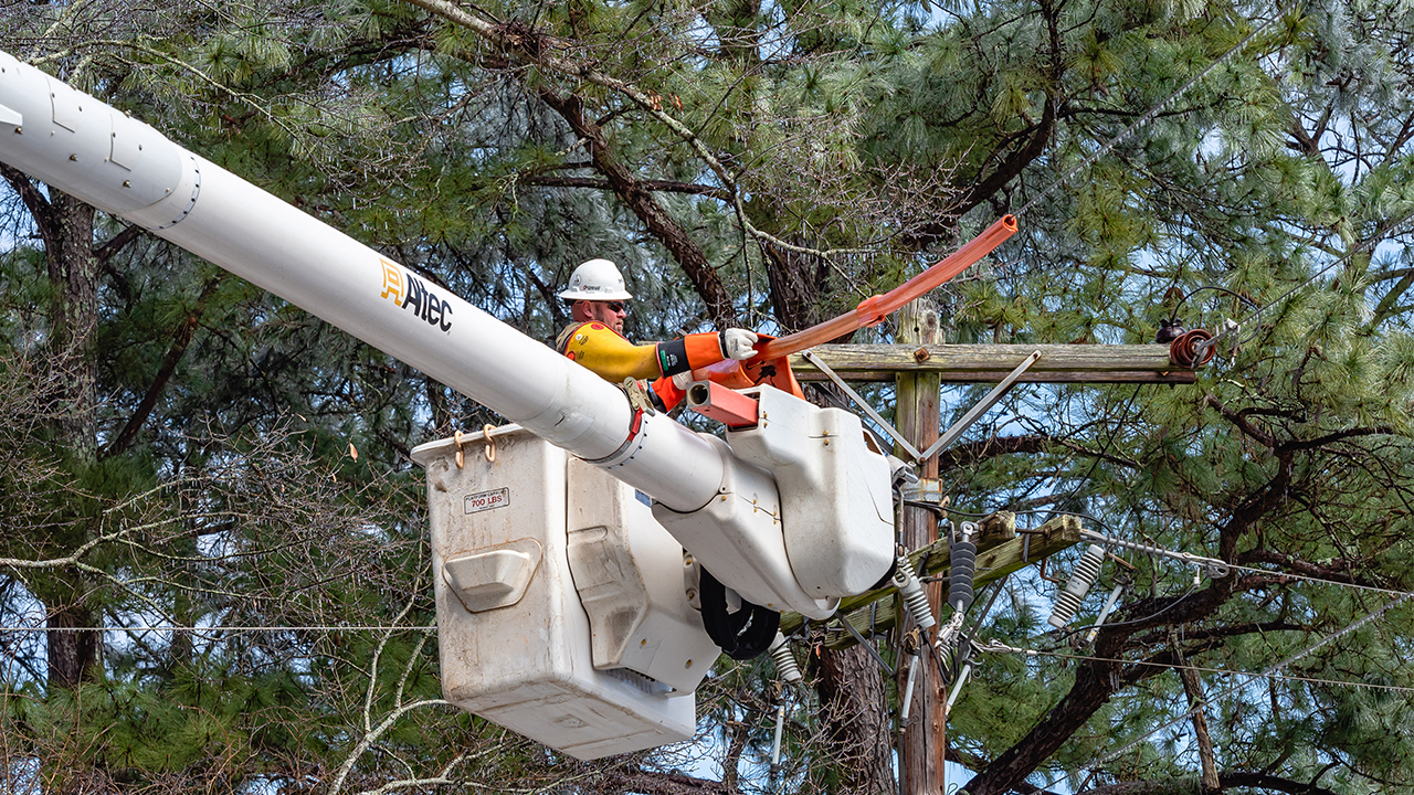 Metro-Jackson area restoration.